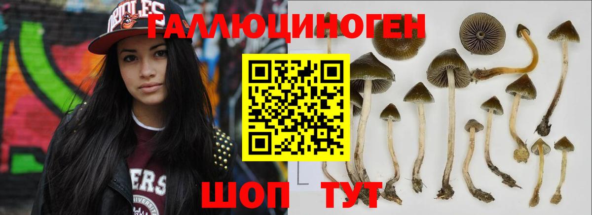 Галлюциногенные грибы прущие грибы Новомосковск