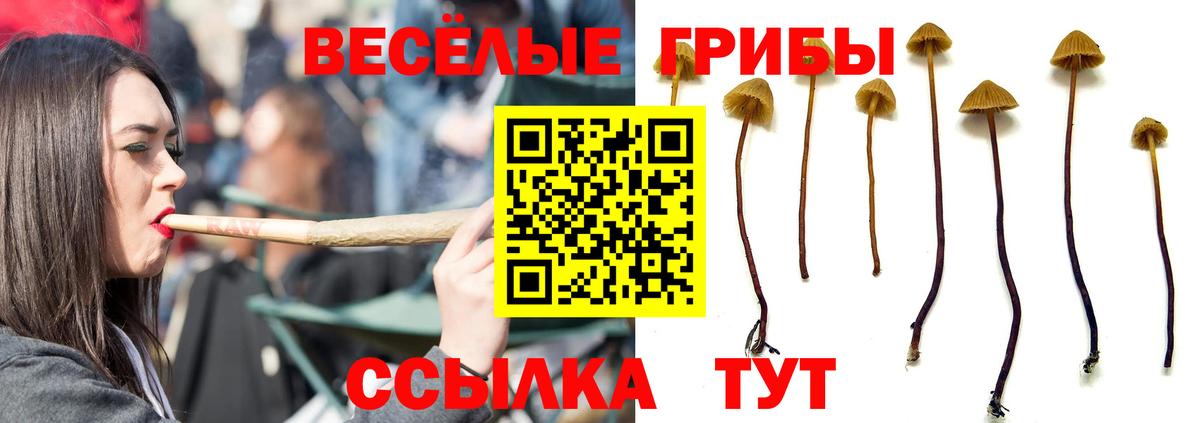 Галлюциногенные грибы прущие грибы  где найти   Галлюциногенные грибы Magic Shrooms  Новомосковск  Вход с VPN 